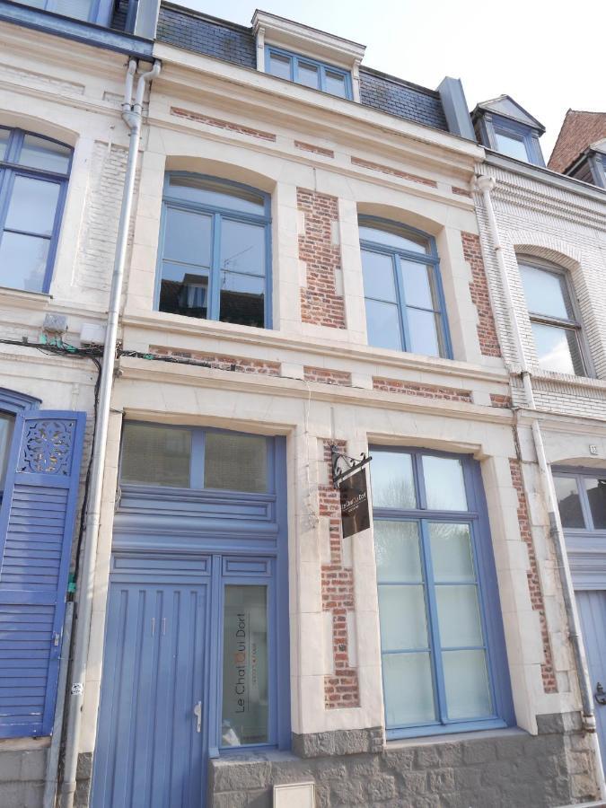 Au Chat Qui Dort Lille - Magasin Luaran gambar